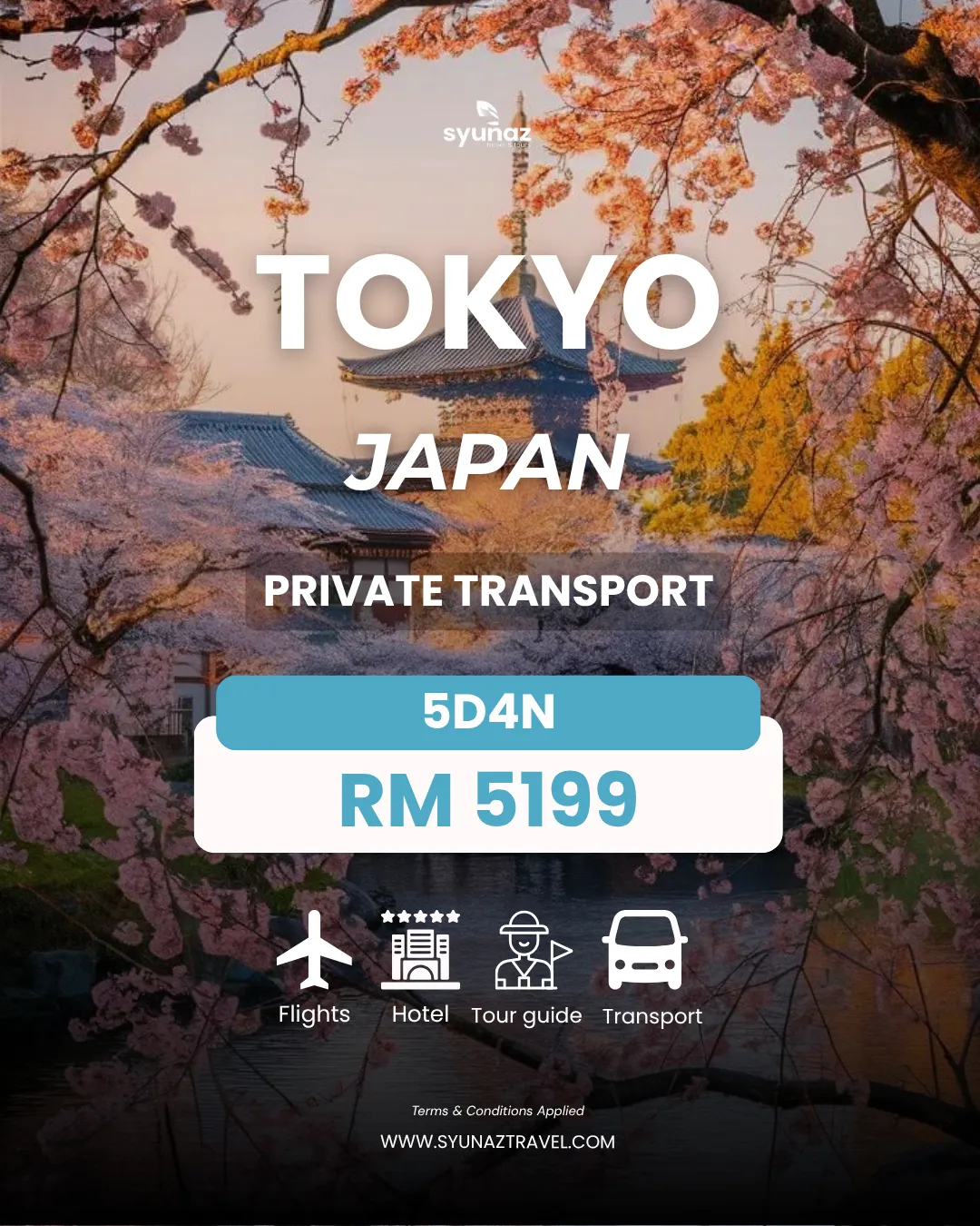 Tokyo private transport package